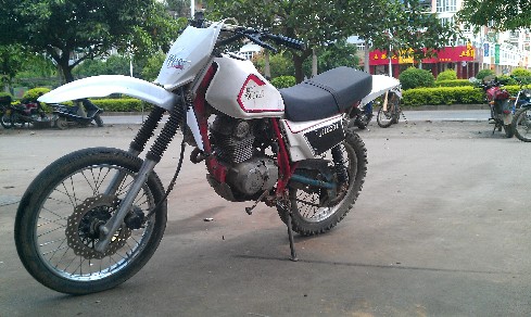 BigBull_IMAG0230.jpg