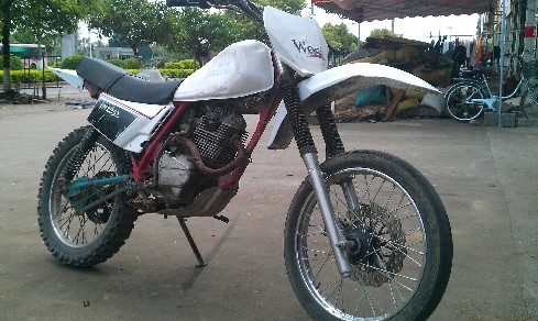 BigBull_IMAG0228.jpg
