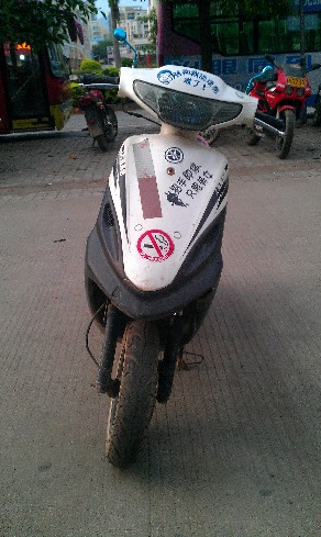 BigBull_IMAG0248.jpg