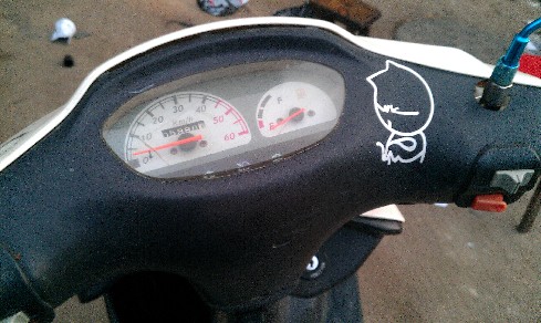 BigBull_IMAG0251.jpg
