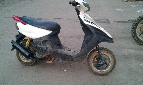 BigBull_IMAG0247.jpg