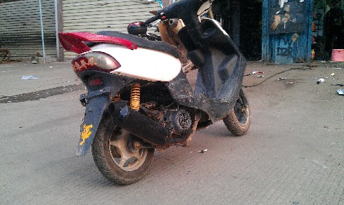 BigBull_IMAG0250.jpg