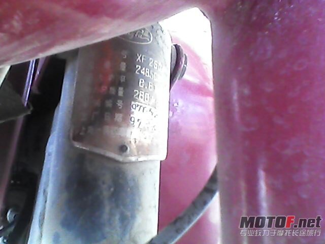 IMG0030A.jpg