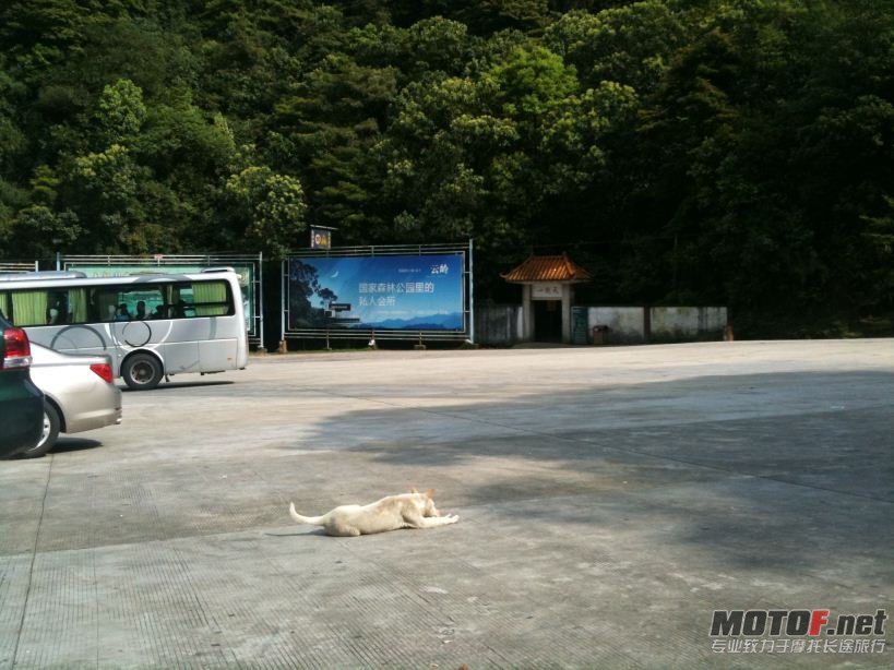 Compress_IMG_0723.JPG