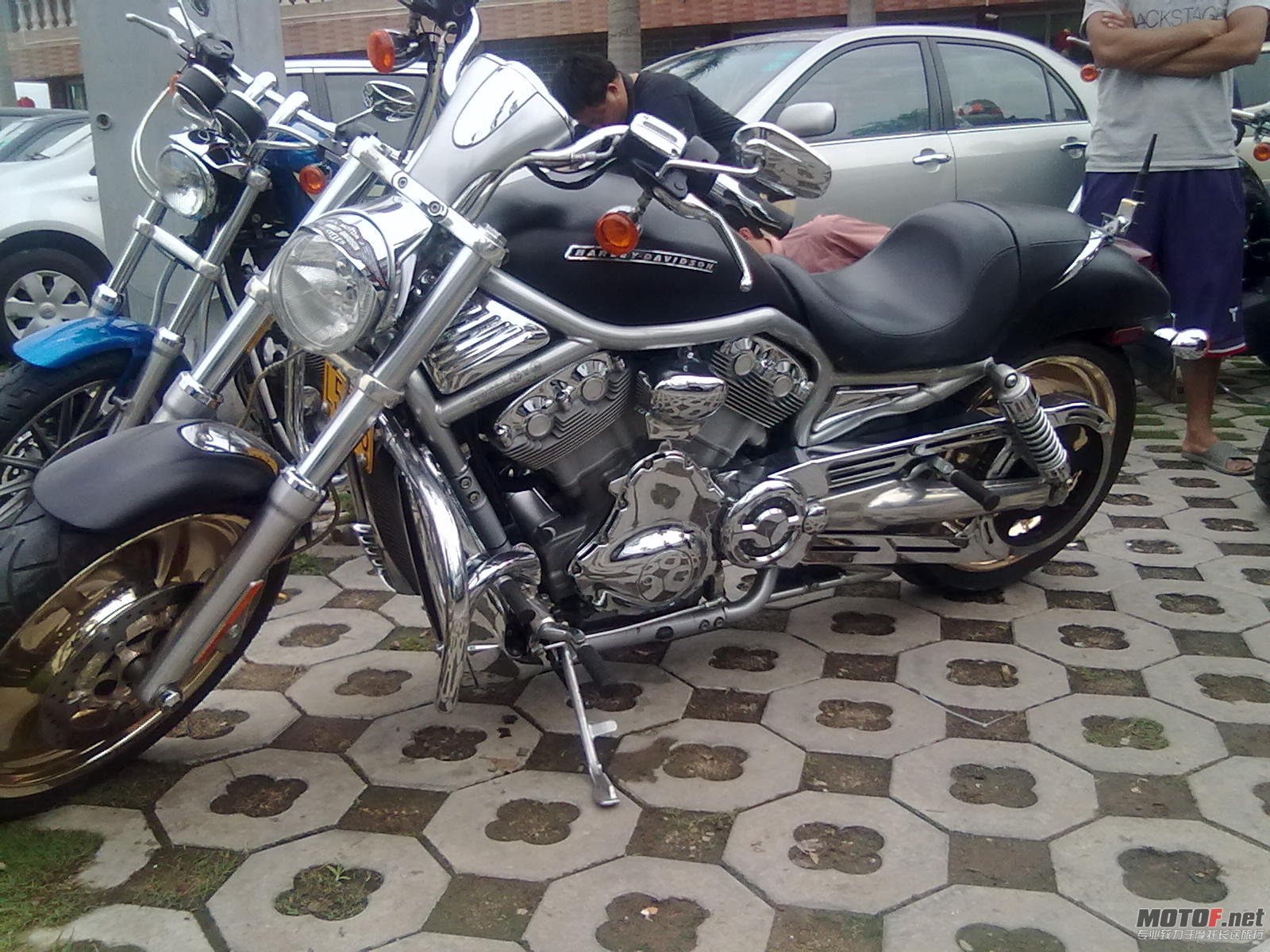 20120421261.jpg