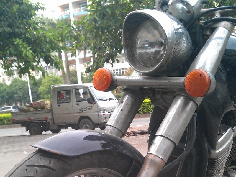 BigBull_IMAG0274.jpg.jpg