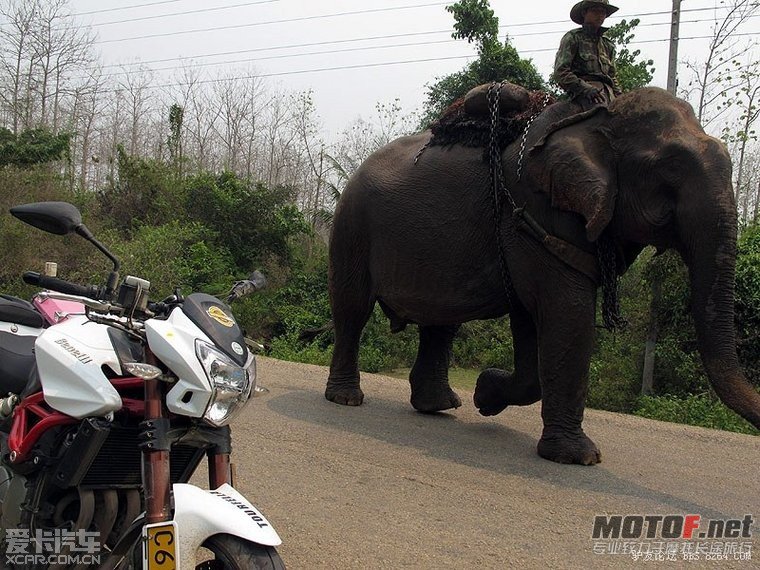 2012040507_f62e9713c1aedce264f0KFDuB6fGy8KV[1].jpg