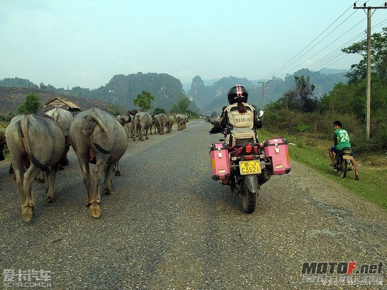 2012040508_2294421ada8d8806345cq9U6PWc8CPgZ[1].jpg