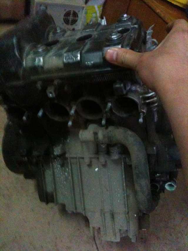 mmexport1335269882769.jpg