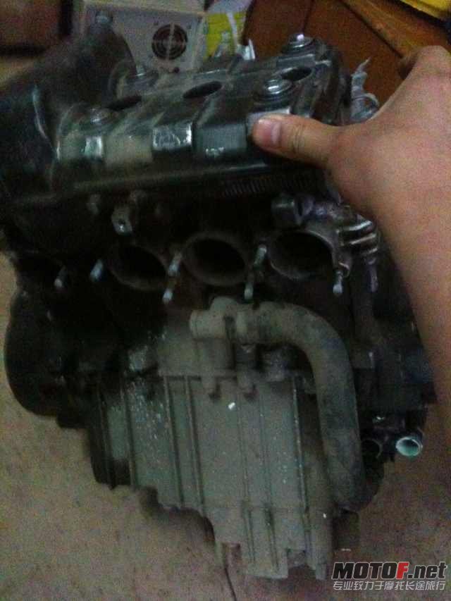 mmexport1335269882769.jpg