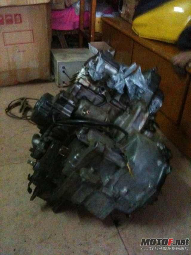 mmexport1335269921494.jpg