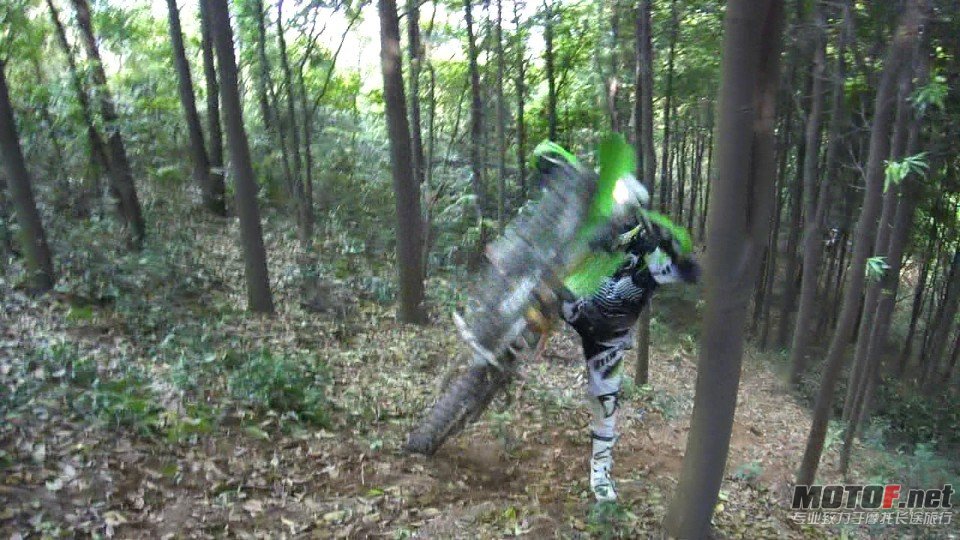 37.jpg