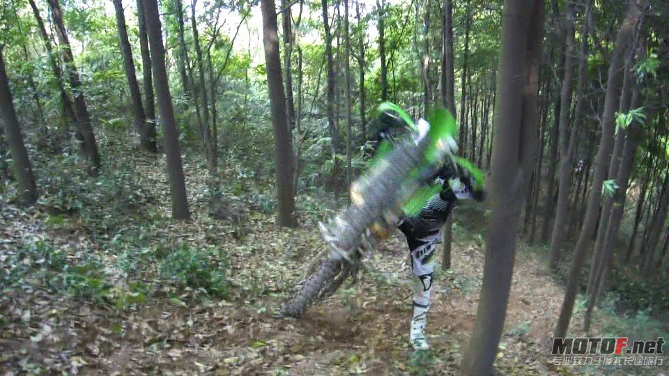 38.jpg