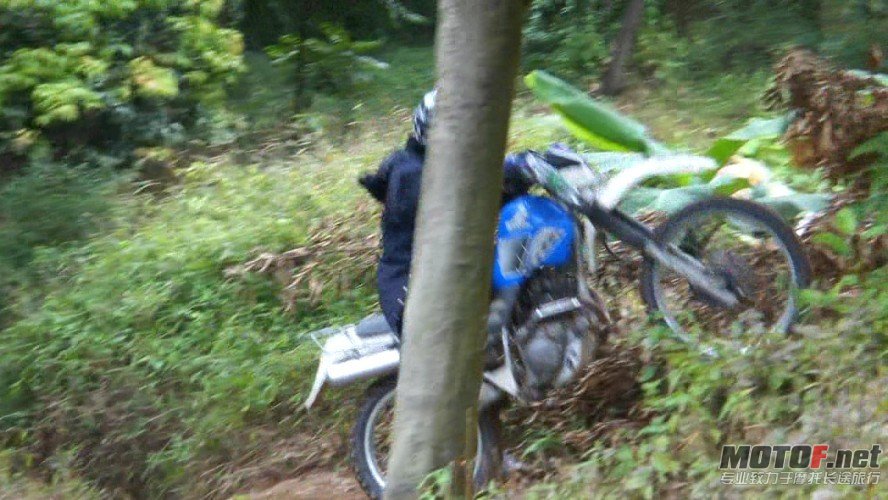 59.jpg