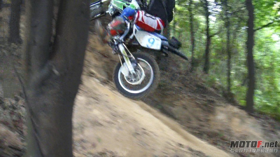74.jpg