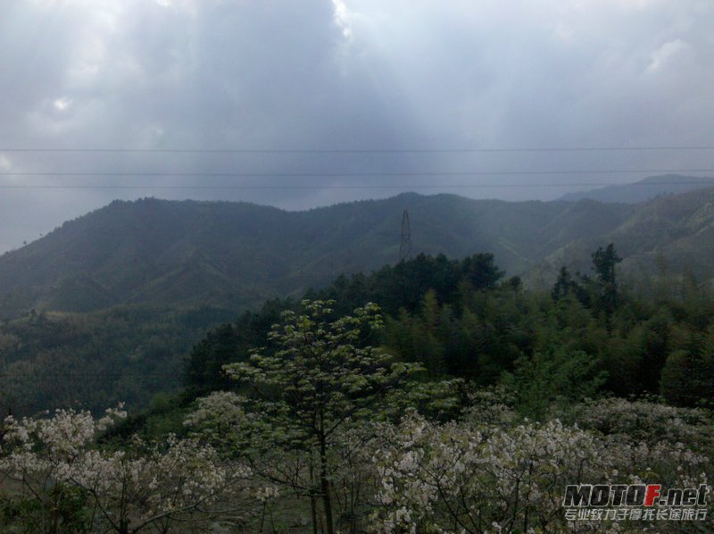 IMG_20120411_155441.jpg