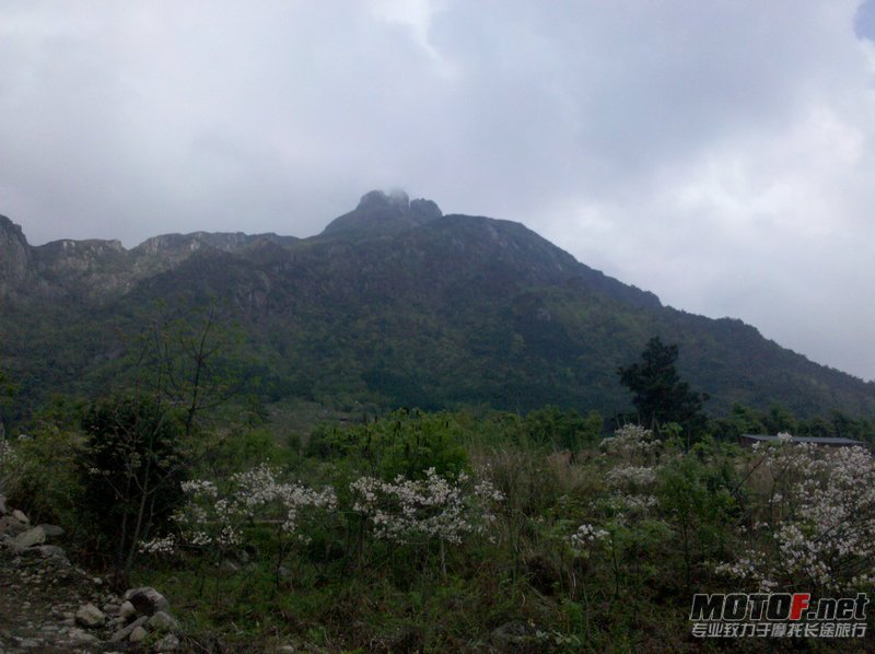 IMG_20120411_160238.jpg