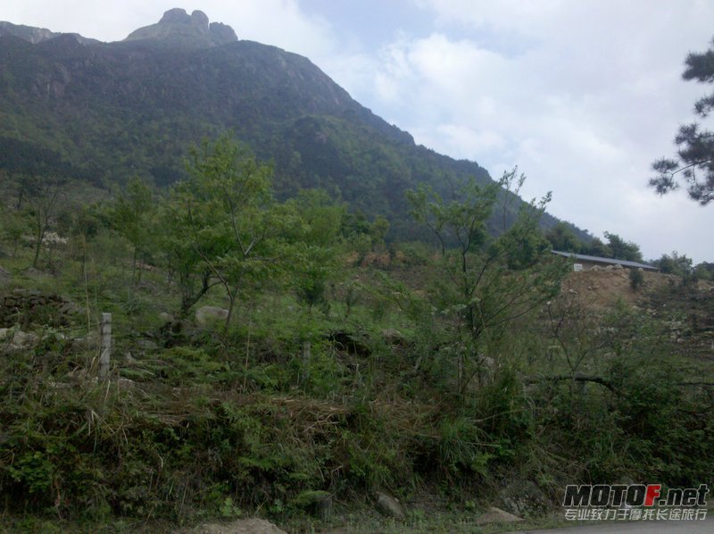 山顶