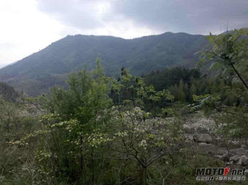 山顶