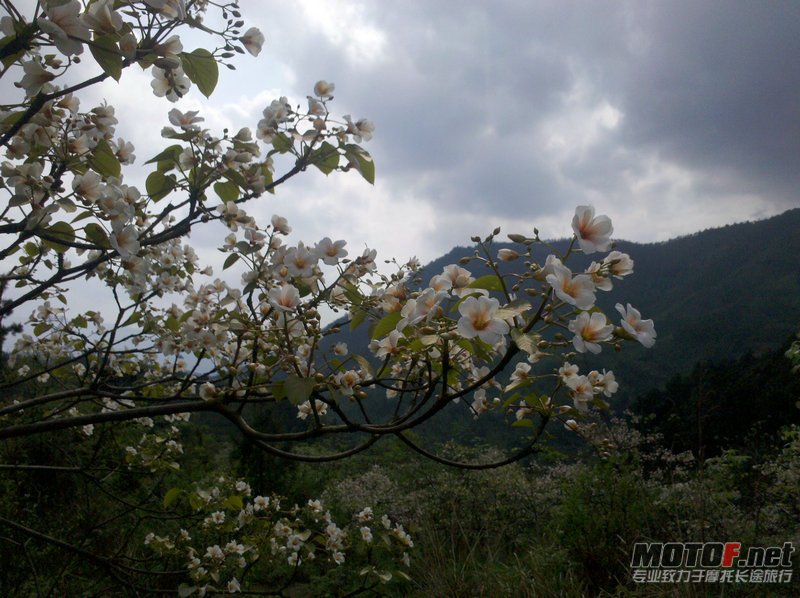 IMG_20120411_154048.jpg