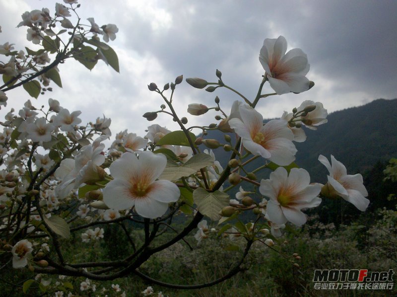 IMG_20120411_154059.jpg