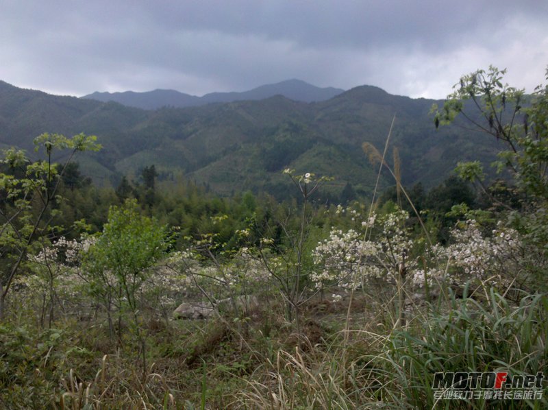 IMG_20120411_154120.jpg