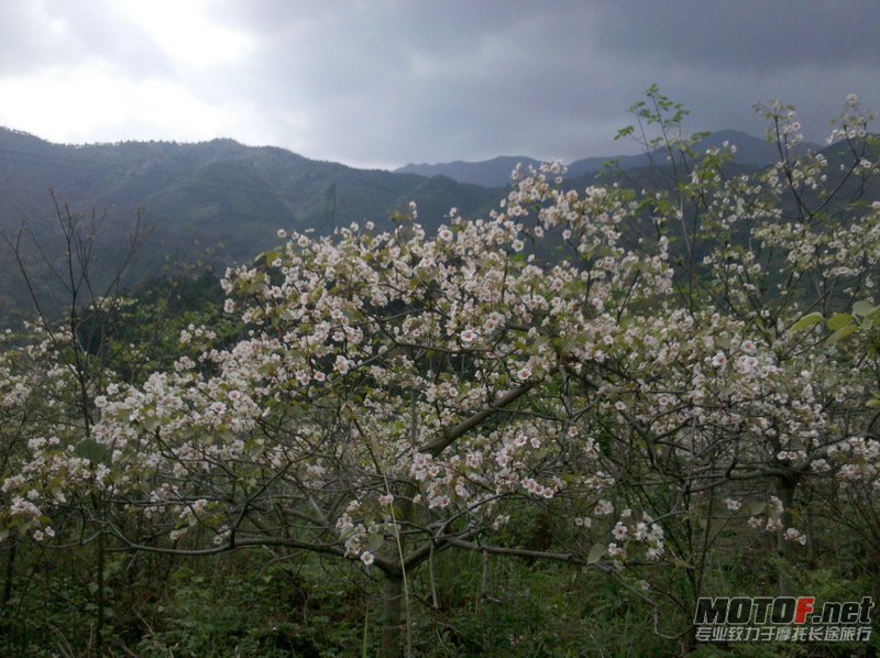 IMG_20120411_154228.jpg