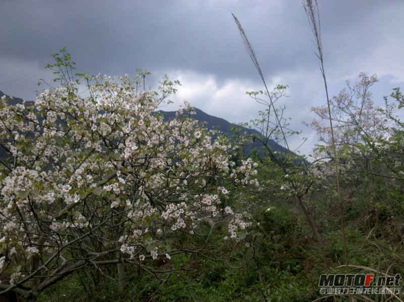 IMG_20120411_154313.jpg