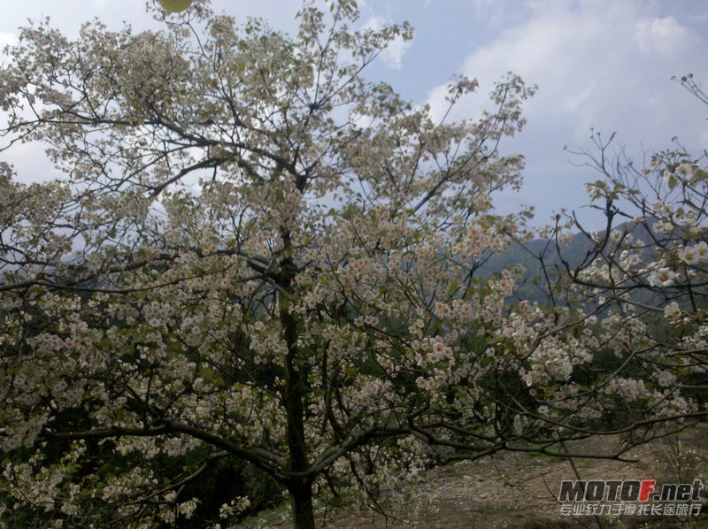 IMG_20120411_155203.jpg