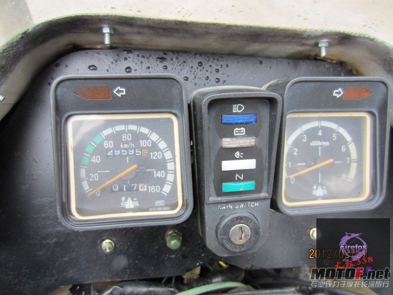 conew_img_1086.jpg