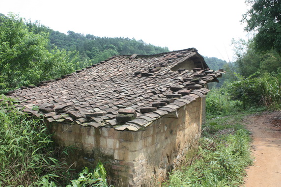 吕田摘挴之行 014.jpg