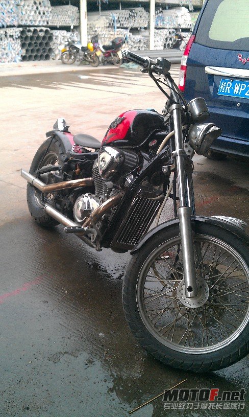 BigBull_IMAG0283.jpg