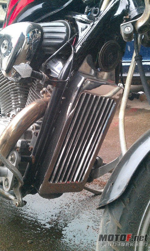 BigBull_IMAG0292.jpg