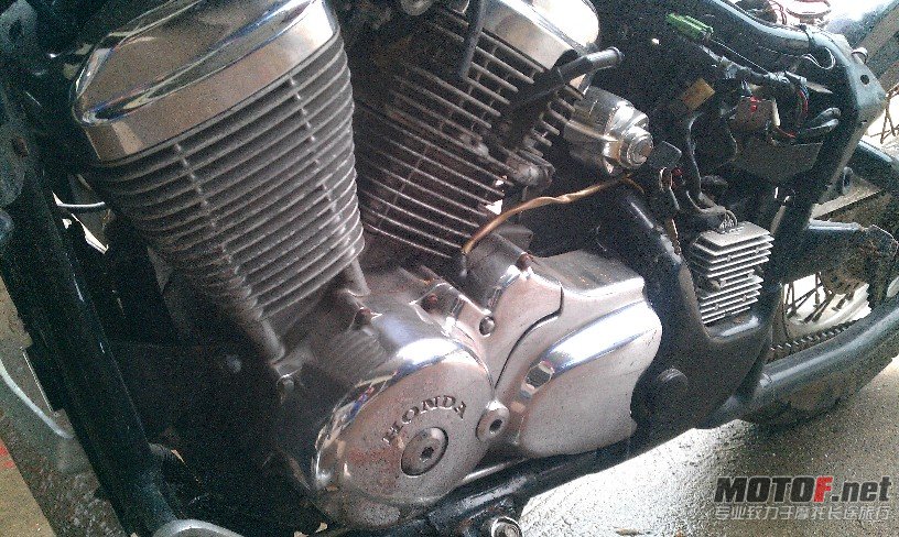BigBull_IMAG0288.jpg
