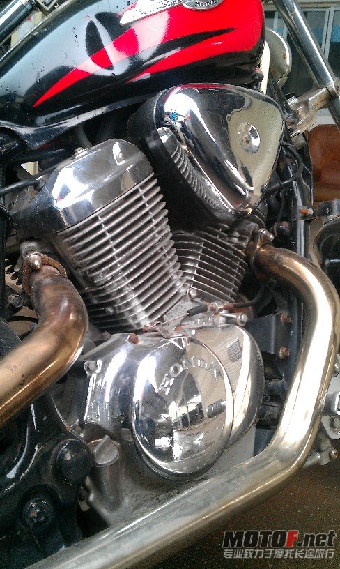 BigBull_IMAG0290.jpg