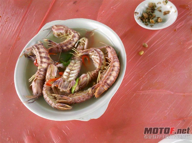 传说中会濑尿的虾