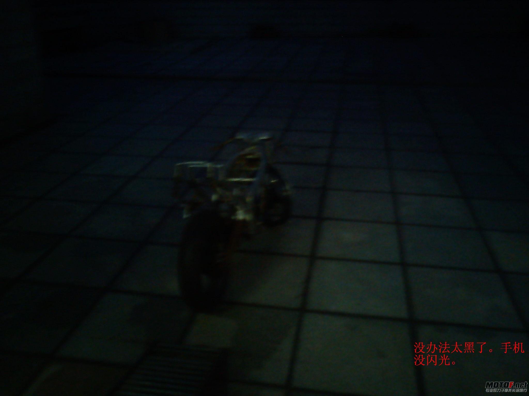 DSC00335.jpg
