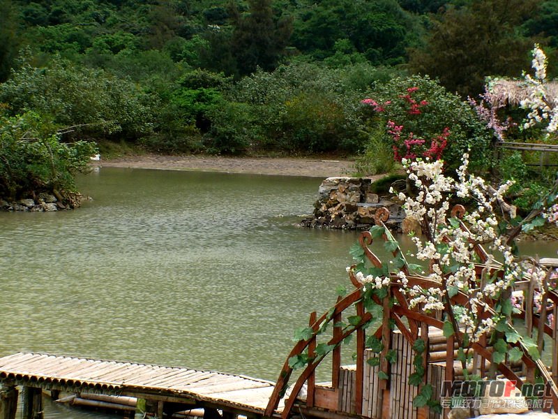 P1310432.JPG