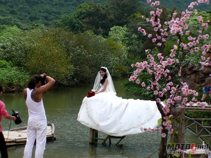 P1310437.JPG