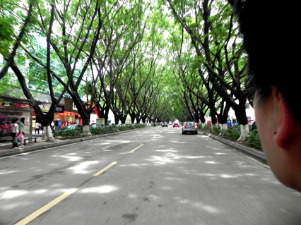 DSCN4969.jpg