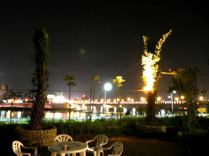 DSCN5261.jpg