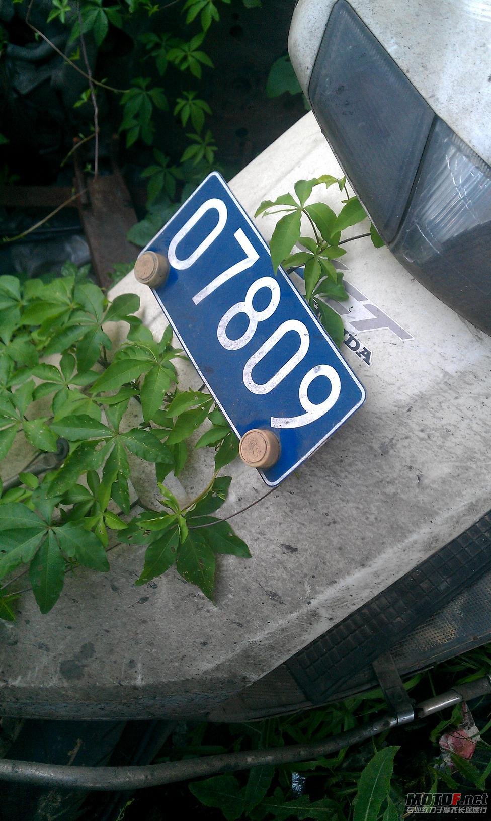IMAG0161.jpg