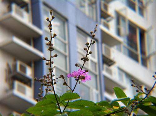 img_0653_副本.jpg