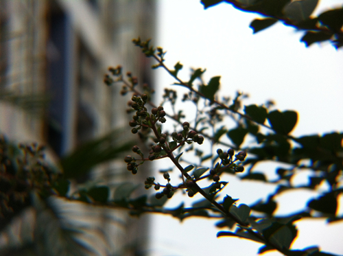 img_0658_副本.jpg