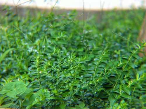 img_0659_副本.jpg
