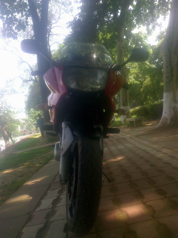 20120516217.jpg