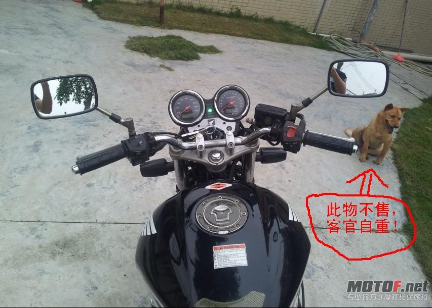 车头.jpg