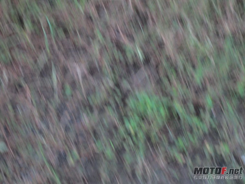 IMG_1004_调整大小.JPG