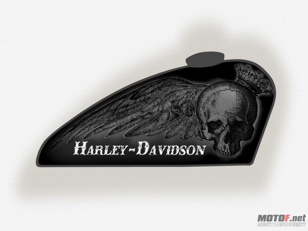 big_HD_Art_Of_Custom_06_KingSkullBlack.jpg