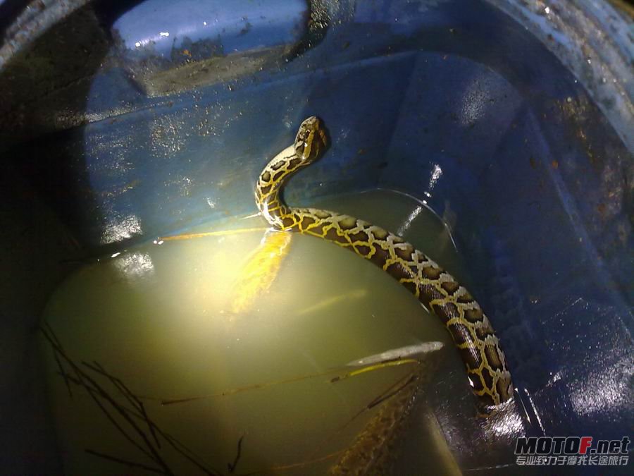 调整大小 201204145408.jpg